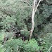 Hike around Finca Neblina del Bosque - La Rampla, Nicaragua esteli-jinotega-miraflor_082.jpg