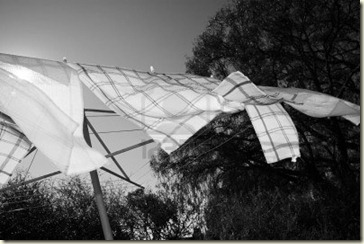 tea-towels-on-the-washing-line