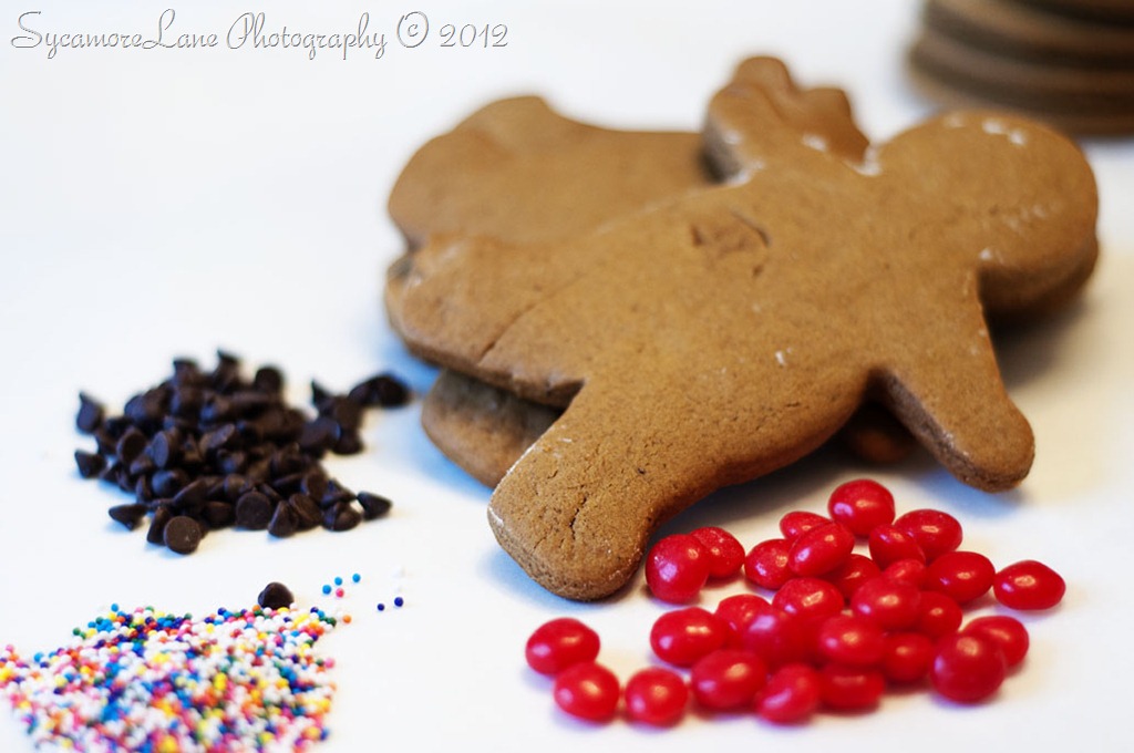 [December-2012-gingerbread-men-w9.jpg]