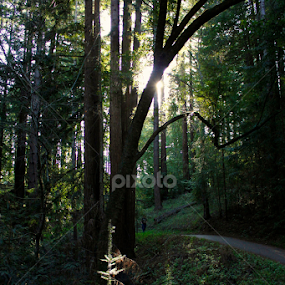 by Jovana Perovanović - Uncategorized All Uncategorized