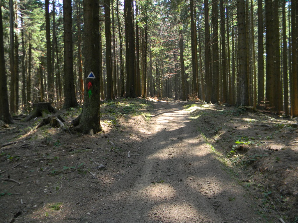 [DSCN78873.jpg]