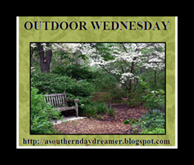 Outdoor-Wednesday-logo_thumb1_thumb1[2]