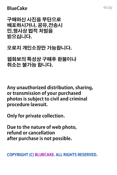 [BLUECAKE] Bambi (밤비) Vol.23 Diesel’s Infinite Rail