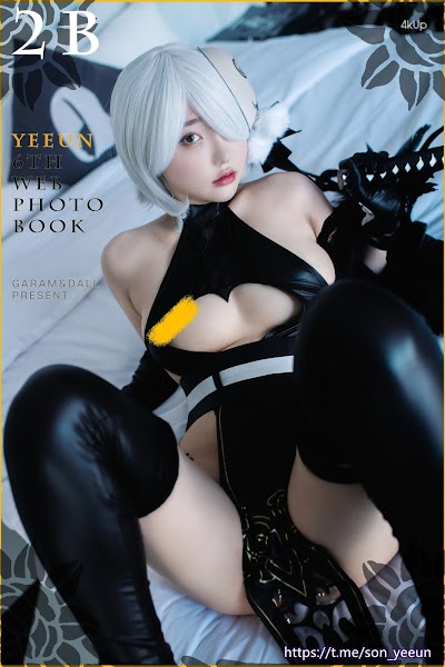 BLUECAKE Son Ye-Eun (손예은) [NieR][YoRHa No.2] 2B