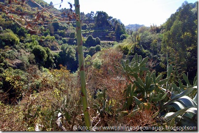 3131 Circular Barranco Propios 3131 Circular Barranco Propios