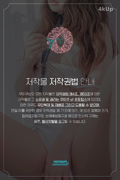 PhotoChips Vol.83 No.3 Sia (시아)