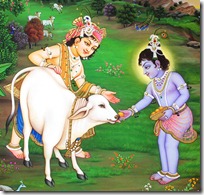 Krishna's play in Vrindavana