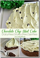 Chocolate-Chip-Mint-Cake-Dairy-Gluten-Dye-Free