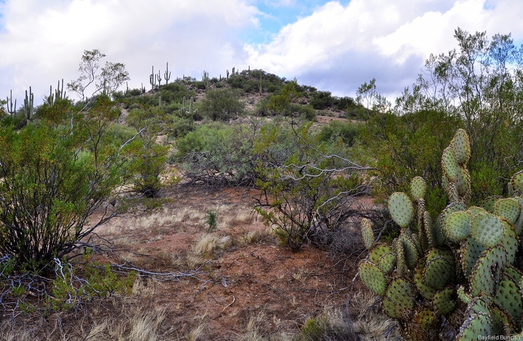 [DSC_0001%255B4%255D.jpg]