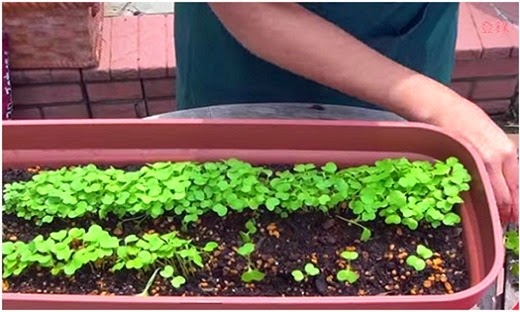 [clip_image007%255B4%255D.jpg]