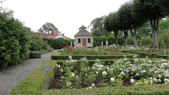 Jardim de Rosas