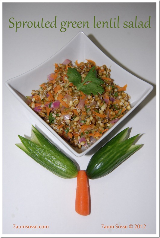 Sprouted green lentil salad