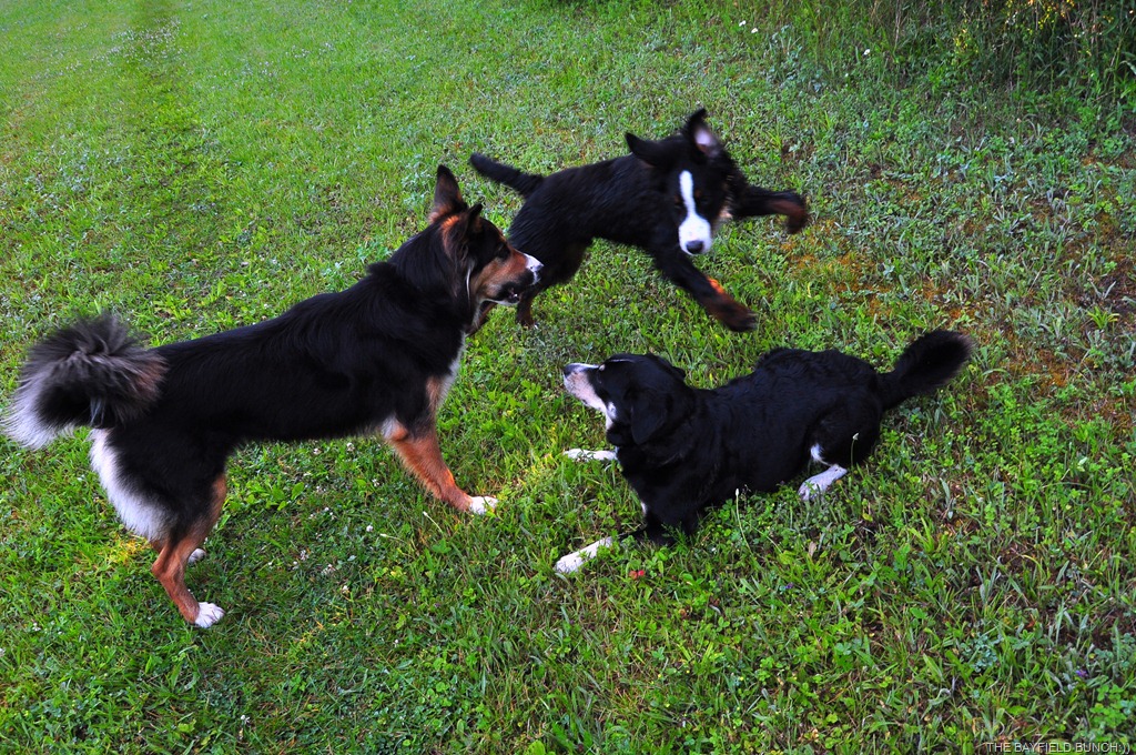 [DSC_0006%255B4%255D.jpg]