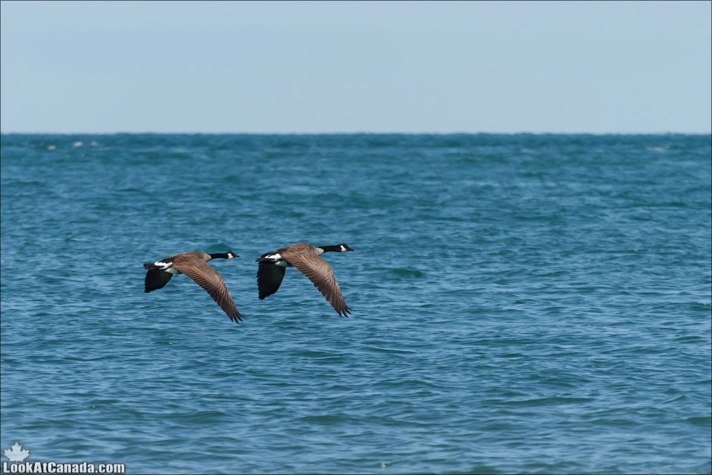 LookAtIsrael.com: Фото-блог о путешествиях по Израилю. Тель Авив, Иерусалим, Хайфа  