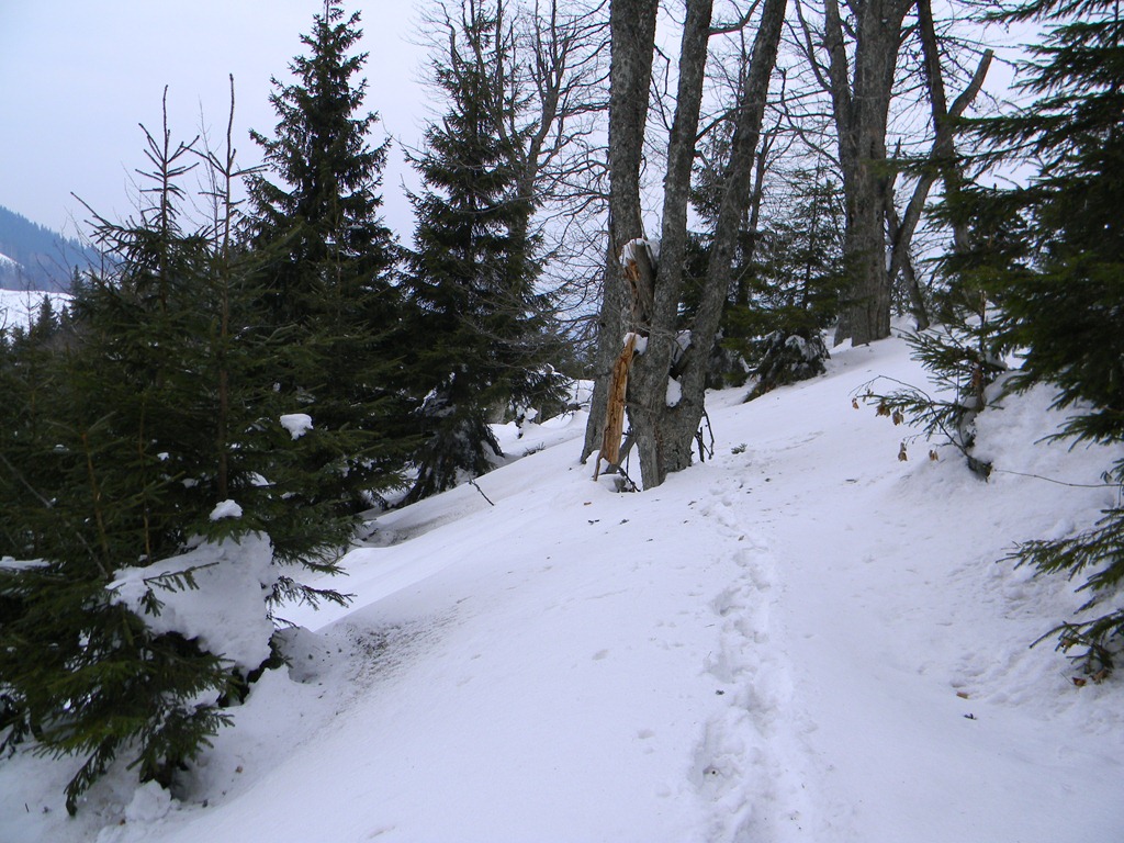 [DSCN71393.jpg]