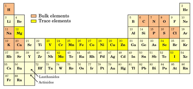 Elements in Periodic table