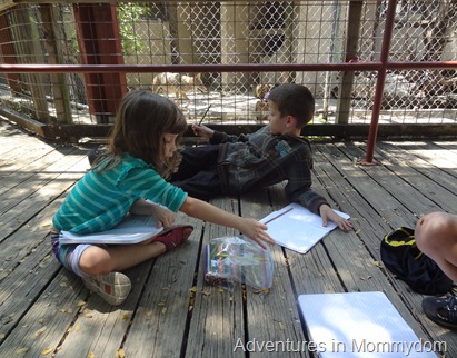 nature study at the zoo
