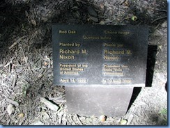 6427 Ottawa 1 Sussex Dr - Rideau Hall - red oak planted by Richard M Nixon