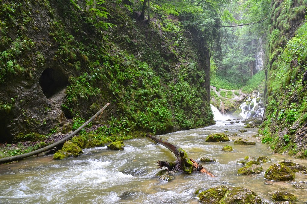 [DSC_02903.jpg]