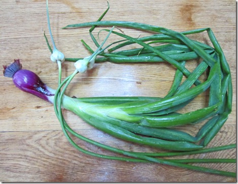 Red onion and garlic scapes