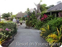 036 Resort, Young Island
