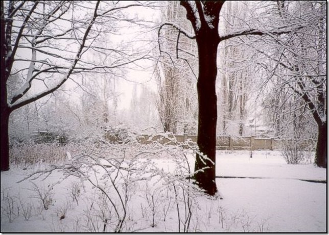 Winter2