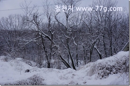 77gDSC07086-20130204-090735