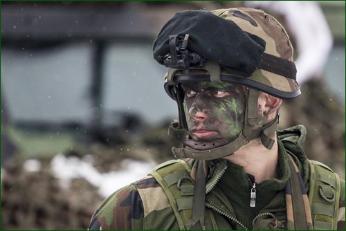 Французско-немецкие учения