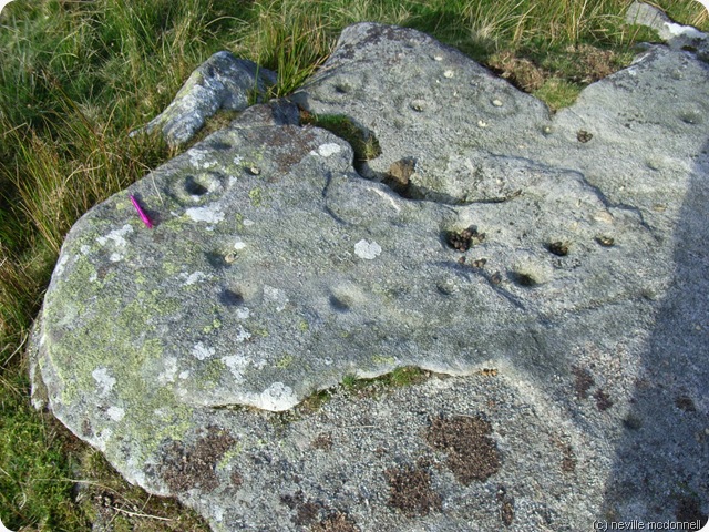cup and ring rock on goldsborough