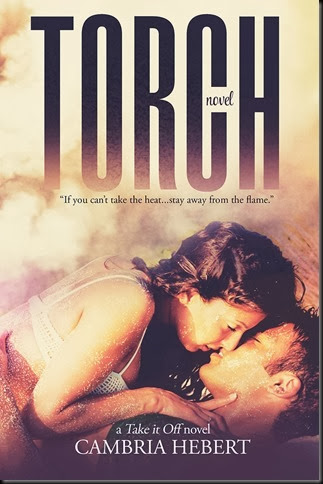 Torch Cover_thumb[1]