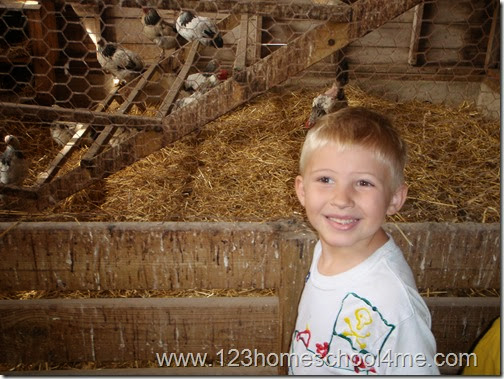 Meeting the chickens on a homeschool farm fieldtrip Meeting the chickens on a homeschool farm fieldtrip