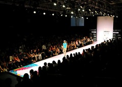 Picture Perfect From lakme Fashion Show18