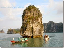 Catba_island_Haiphong_Vietnam (6)