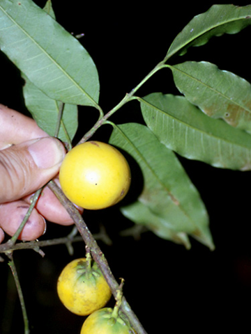 [image%255B7%255D.png]