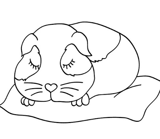 colorear dibujos de hamsters