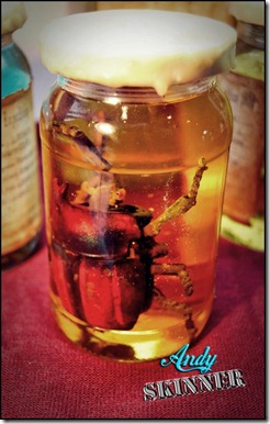 andy skinner specimen jars 4 (Large)