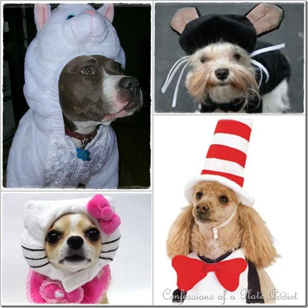 dogs in disguise