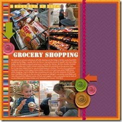 0 WITL page 0 15 Insert Grocery Shopping