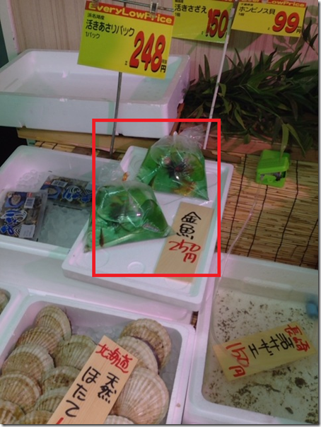 驚愕 スーパーの鮮魚コーナーで金魚が売っていた 金魚って食べるの 食べれるの 静岡探検倶楽部
