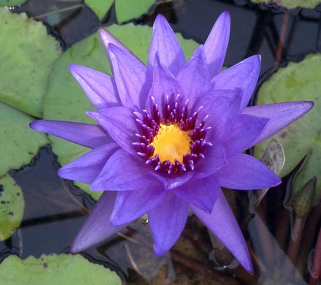 [image%255B62%255D.png]