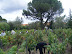 DSCF6946.JPG