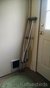 2. 11-12-14 crutches-a