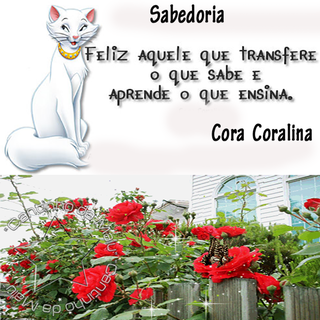 sabedoriacora.png