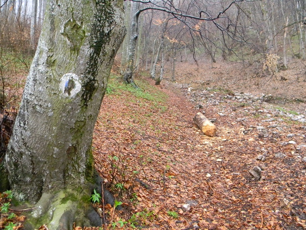 [DSCN78033.jpg]