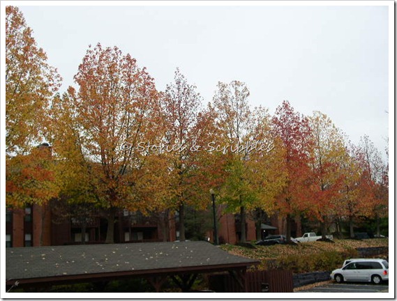 Nov 2003 - autumn 003
