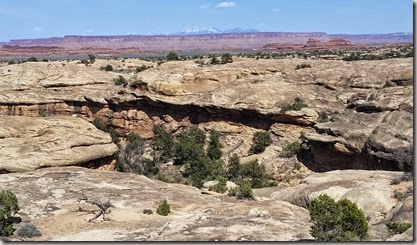 Canyonlands View #4