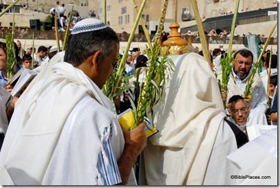 Man with four species of Sukkot at Western Wall, tb100906953