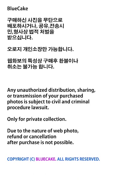 [BLUECAKE] Bambi (밤비) Vol 22 Reversal Trial