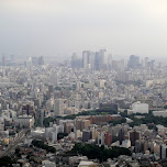 view of shinjuku in Tokyo, Japan 