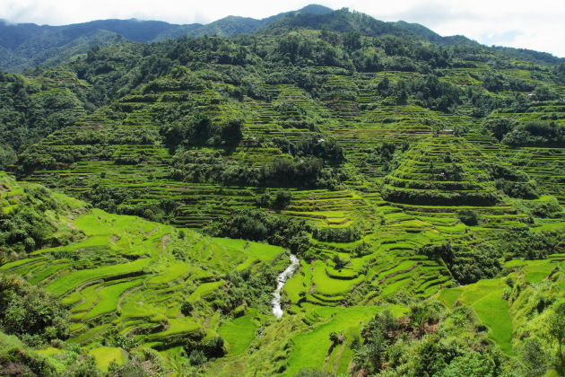 Banaue Rice Terraces of Philippines - a sight to behold